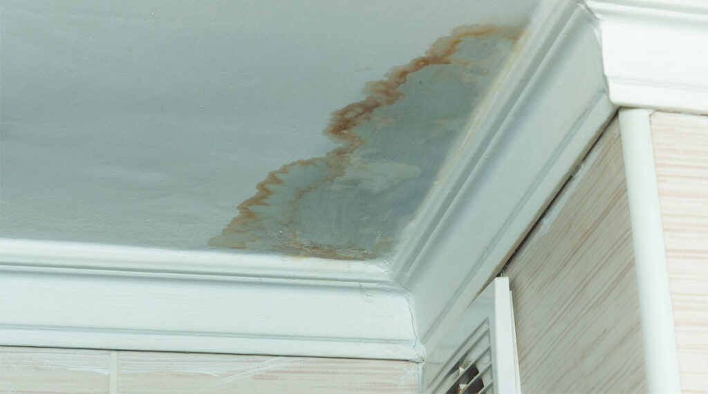 water damage prevention