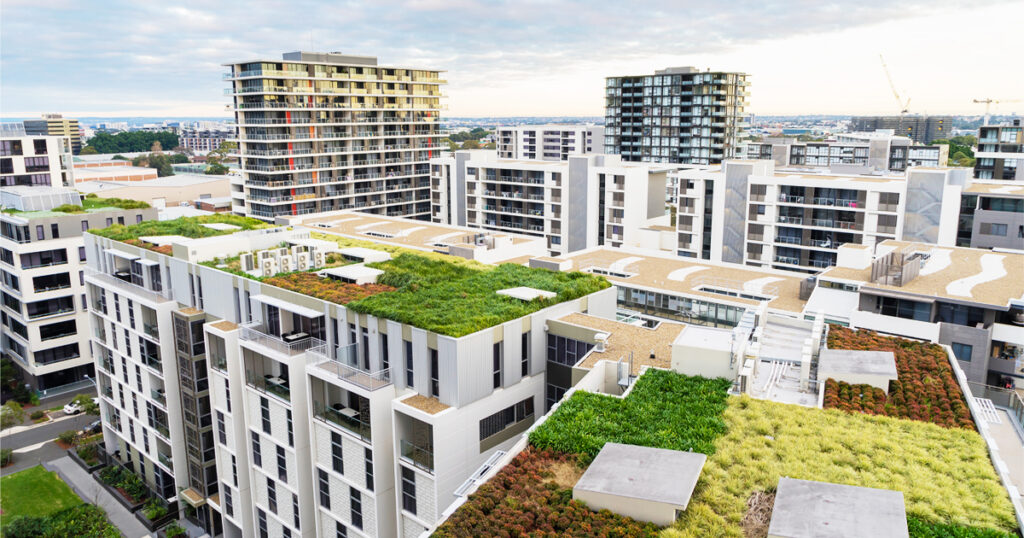 green roof