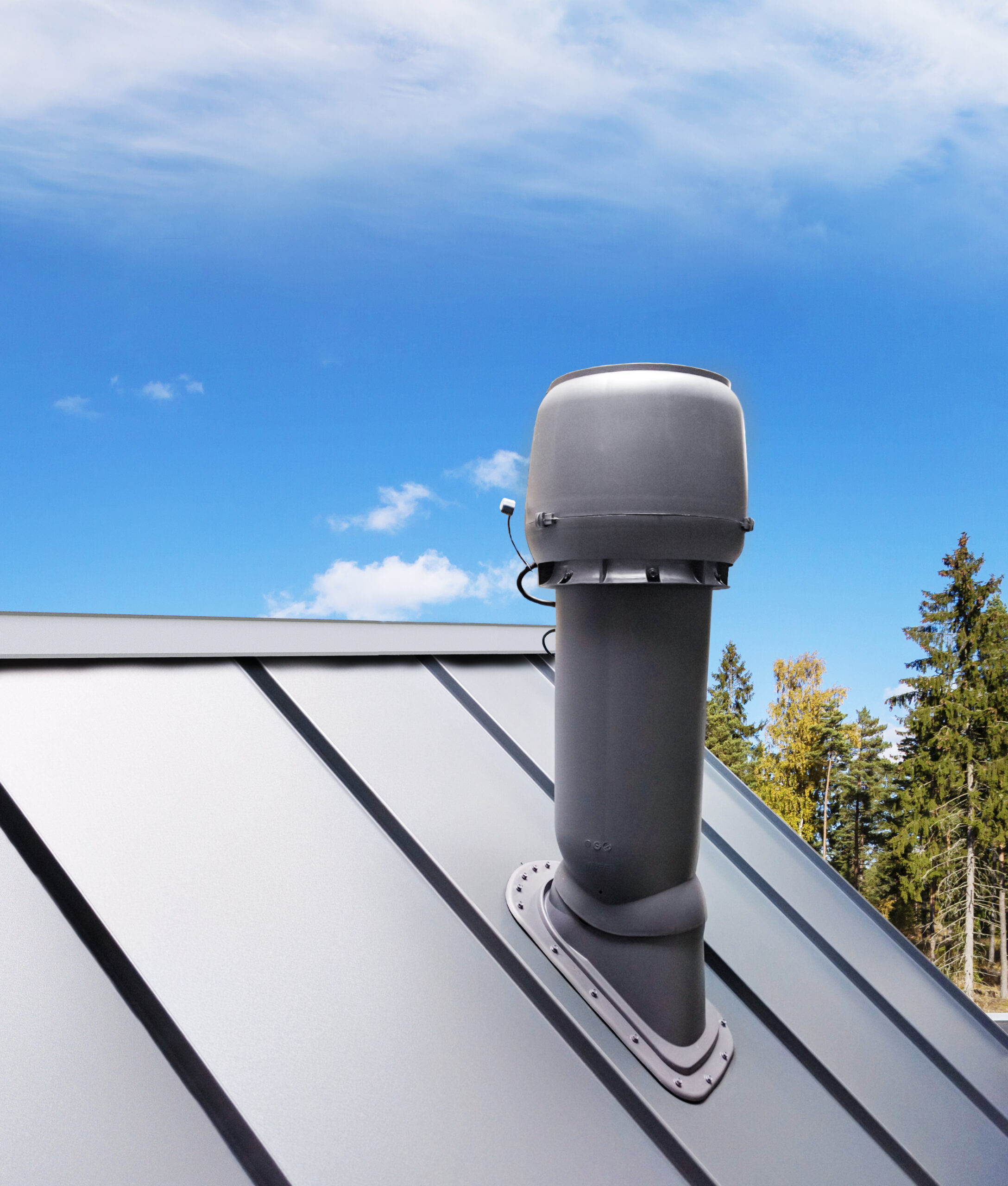 CLASSIC VINO GENOMFÖRING - Image 2