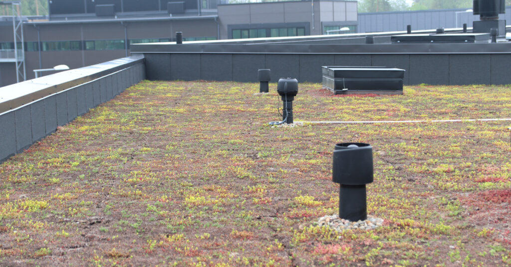 alipait, Sense, viherkatto Vantaan toimipisteessä